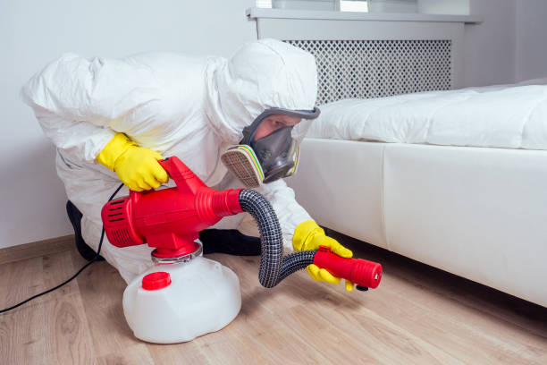 Professional Pest Control in Mount Washington, KY